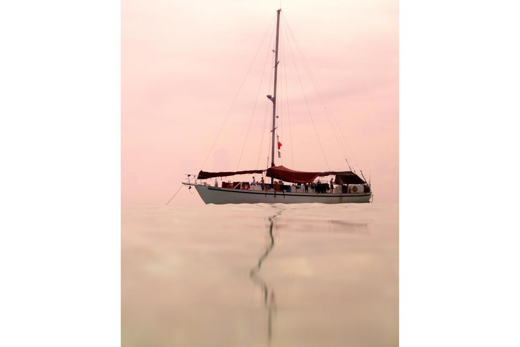 Up to 18 persons can enjoy a ride on this Sloop boat