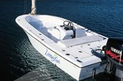 Discover Key Largo surroundings on this Custom Cape Island boat