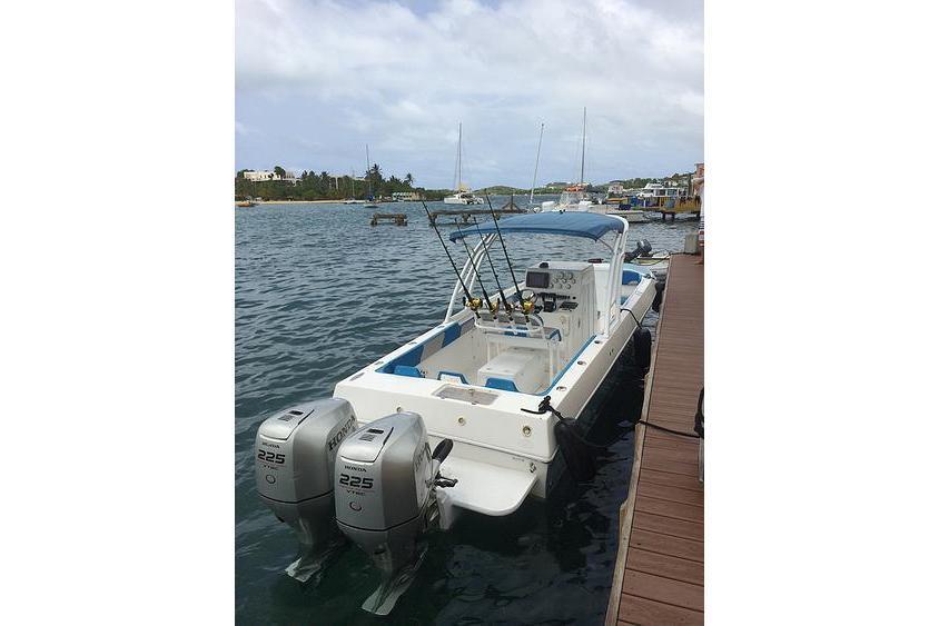 Up to 6 persons can enjoy a ride on this Classic boat
