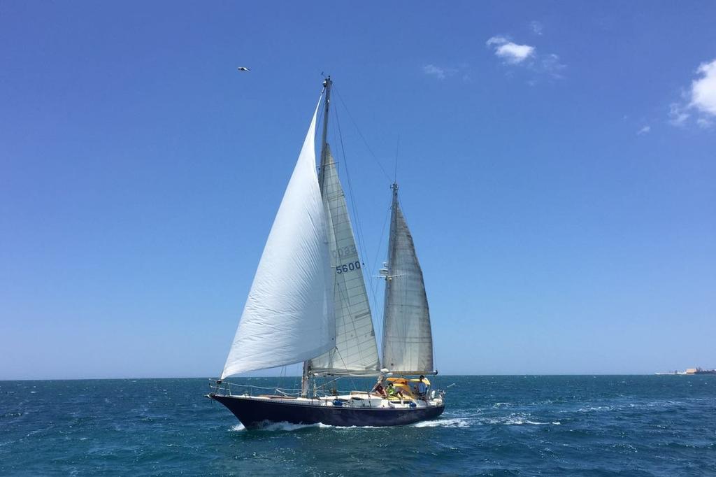 Discover Progreso surroundings on this Ketck New Zeland Alan Mummery boat