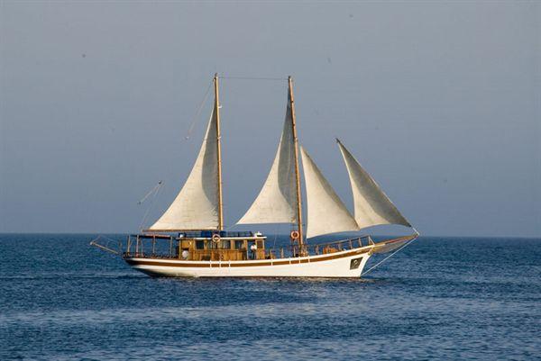 Up to 49 persons can enjoy a ride on this Schooner boat