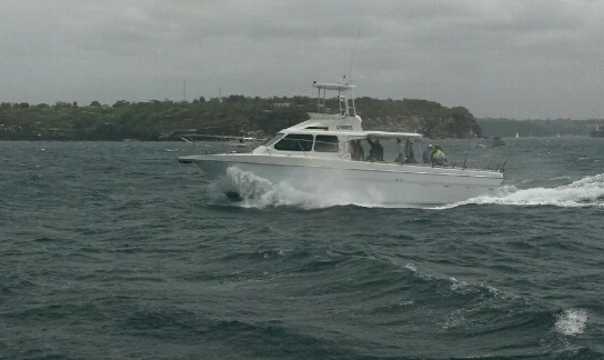 Discover Rose Bay surroundings on this MV Sea Eagle boat