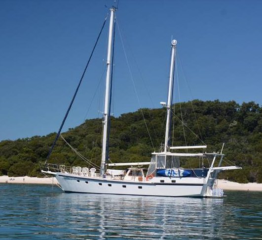 Discover Drummoyne surroundings on this Custom Custom boat