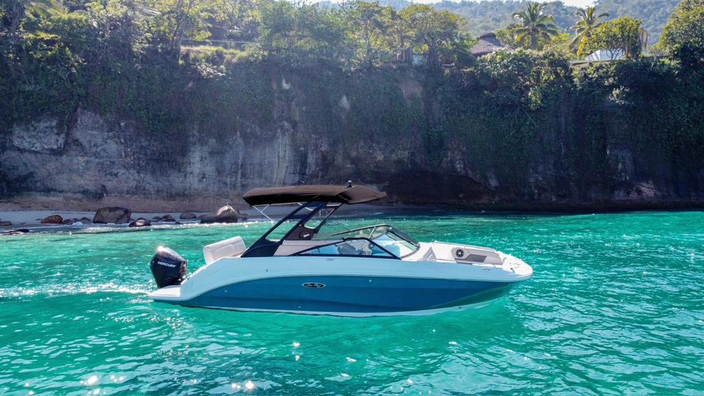 Sea Ray's 25.0 feet in puerto vallarta
