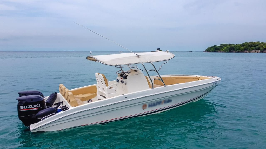Up to 10 persons can enjoy a ride on this Center console boat