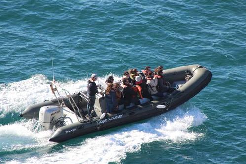 Enjoy a tour along the coast to admire the amazing cliffs