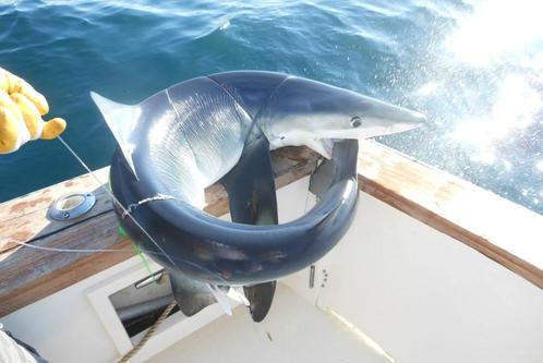 Boat rental in Belmar, NJ