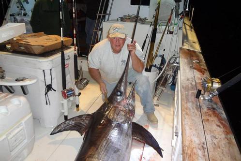 44.0 feet Henriques in great shape
