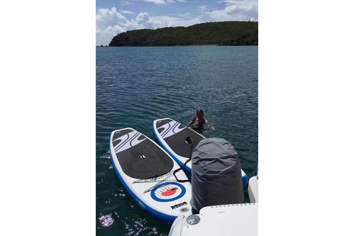 Up to 6 persons can enjoy a ride on this Catamaran boat