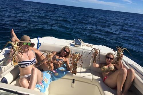 Up to 10 persons can enjoy a ride on this Catamaran boat