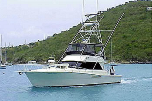 Take a trip with an Award Winning Fishing Captain in the USVIs!