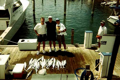 Boat for rent Viking 45.0 feet in American Yacht Harbor, U.S. Virgin Islands
