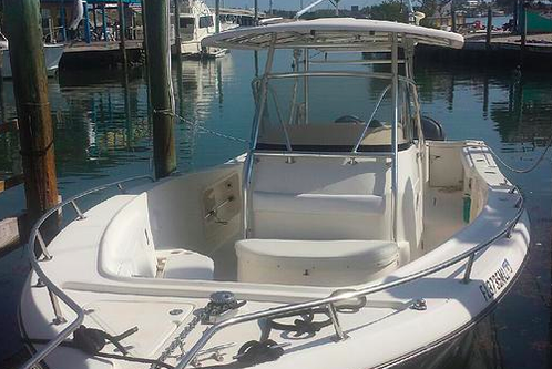 31.0 feet Pursuit in great shape