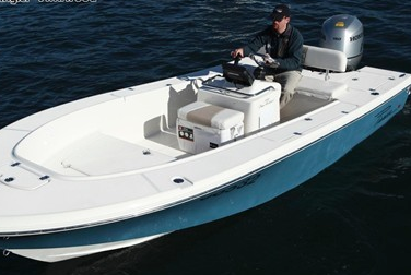 19.0 feet Cape Island in great shape