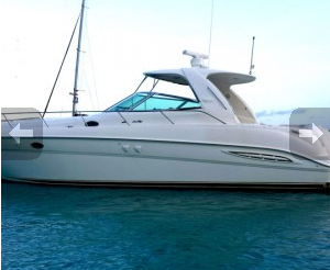 Sea Ray boat for rent in Red Hook
