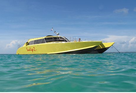 Experience the coolest Cat in the Caribbean!