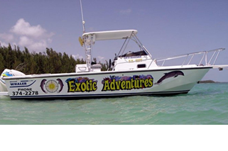 Embark on your Next Adventure with a Native Bahamian