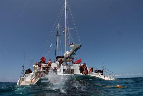 Come Sail Away in Nassau!