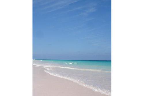 Discover Eleuthera surroundings on this Express Custom boat