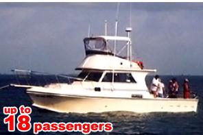 Go Deep Sea Fishing on this 42' Sportfisherman