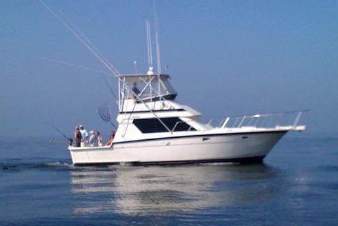 Enjoy a Fun-Filled, Action-Packed Day of Sport Fishing