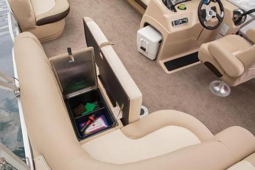 Up to 10 persons can enjoy a ride on this Pontoon boat