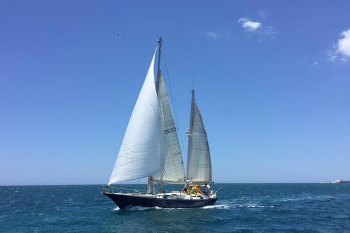 Discover the Mexican Caribbean sea