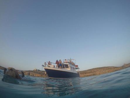 Up to 24 persons can enjoy a ride on this Motor yacht boat