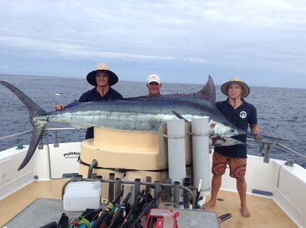 Boat rental in Bay Of Plenty, 