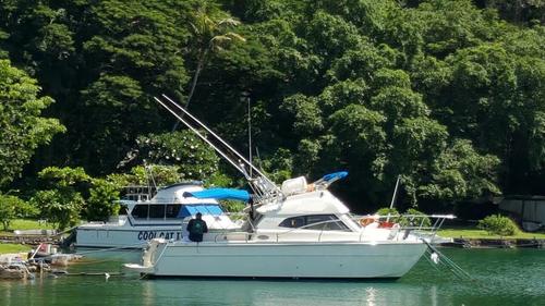 Up to 10 persons can enjoy a ride on this Motor yacht boat