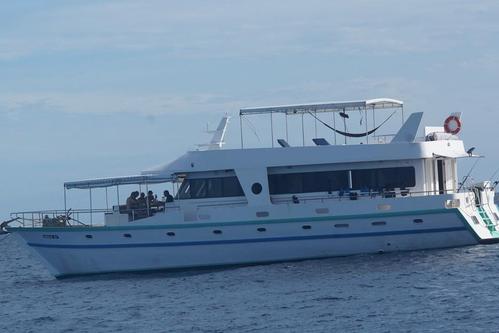 Charter this motor boat for a true boating adventure