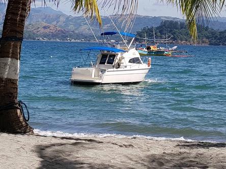 Discover Cebu surroundings on this Custom Custom boat