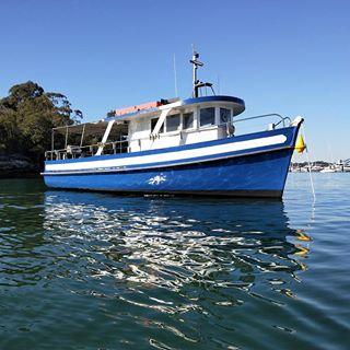 41.0 feet Custom in great shape