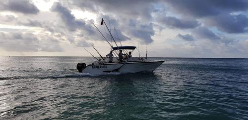 Have fun in sun in Mauritius aboard this motor boat!