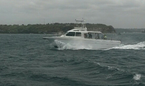Take this awesome motor boat for a spin!