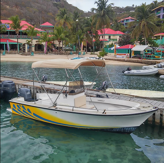 Amazing Bradley 17' for rent, ideal for fun in the sun
