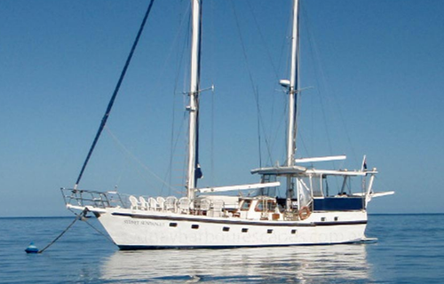 Boat for rent Custom 54.0 feet in Drummoyne, Australia