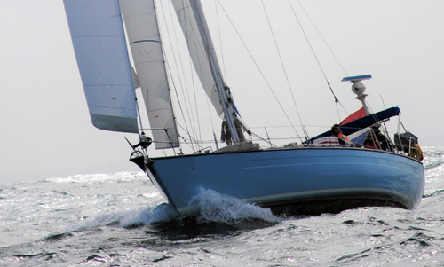 This 52.0' One Off cand take up to 8 passengers around Rotterdam