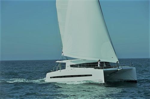 Up to 12 persons can enjoy a ride on this Catamaran boat