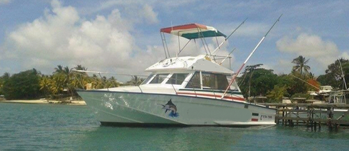 Discover Port Louis in style boating on this motor boat rental