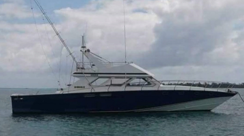 Have fun in the sun on this Port Louis motor boat charter