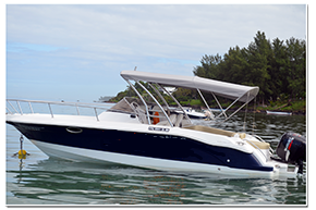 Motor boat boat for rent in Bel Ombre
