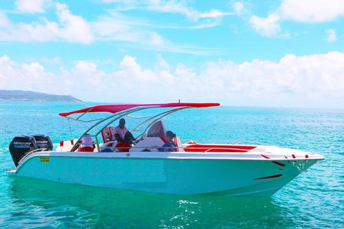Up to 10 persons can enjoy a ride on this Center console boat