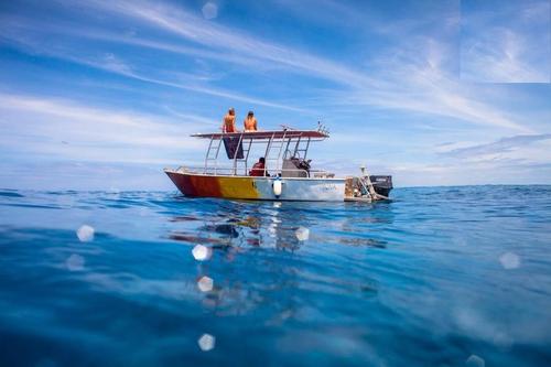 This motor boat rental is perfect to enjoy Nadi