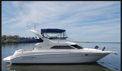 Sea Ray boat for rent in Sarasota