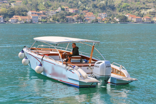 Up to 15 persons can enjoy a ride on this Motor boat boat