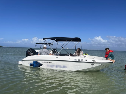 Fast, Clean and Reliable Bayliner deck boat