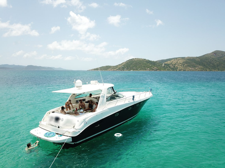 Up to 12 persons can enjoy a ride on this Sea Ray boat
