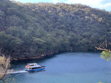 This 50.0' 50 foot Cougar Cat cand take up to 50 passengers around Sydney