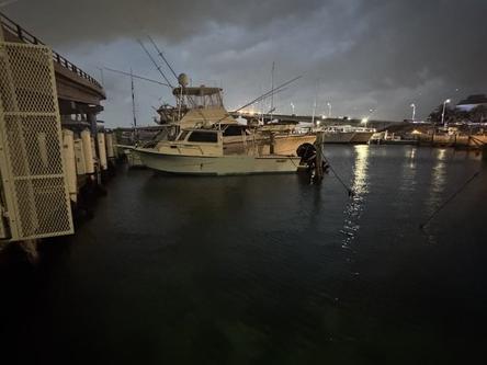 Embark on the Ultimate Fishing Experience!